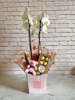 Kit Orquídea Branca + Chocolate + Pelúcia