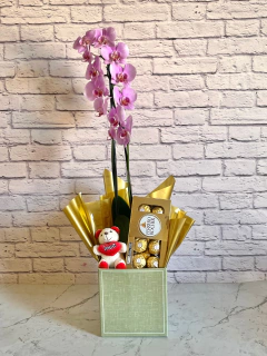 Kit Orquídea Rosa + Chocolate + Pelúcia