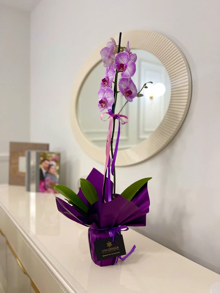 Orquídea Roxa